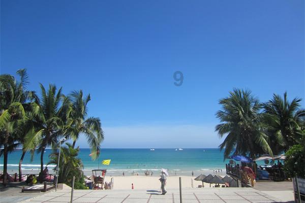夏天狗狗适合多少时间洗一次澡的游戏画面